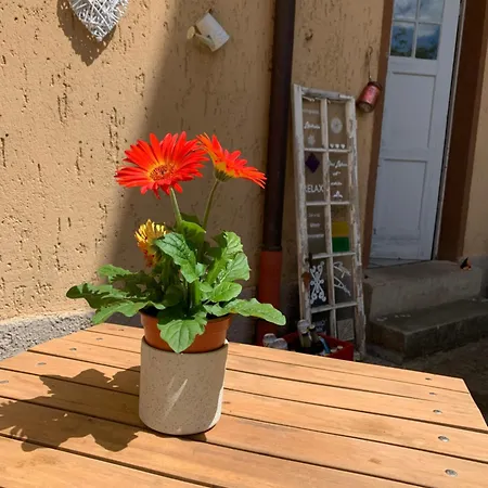 Große Nähe Stadtpark, 4 Schlafzimmer, Gemütliches Wohnzimmer, Terrasse, Parkplatz